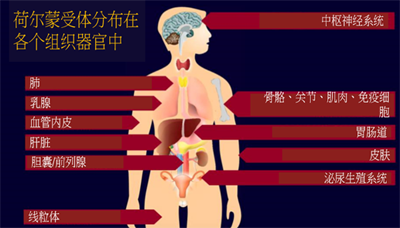 荷尔蒙与抗衰老