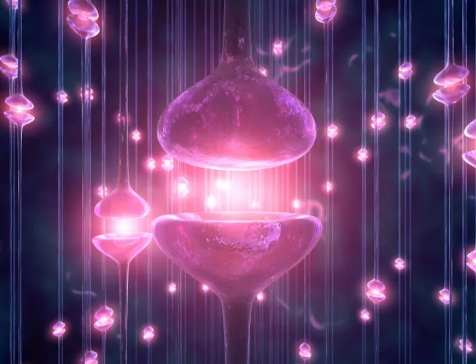 1-24030G62335H2.png
