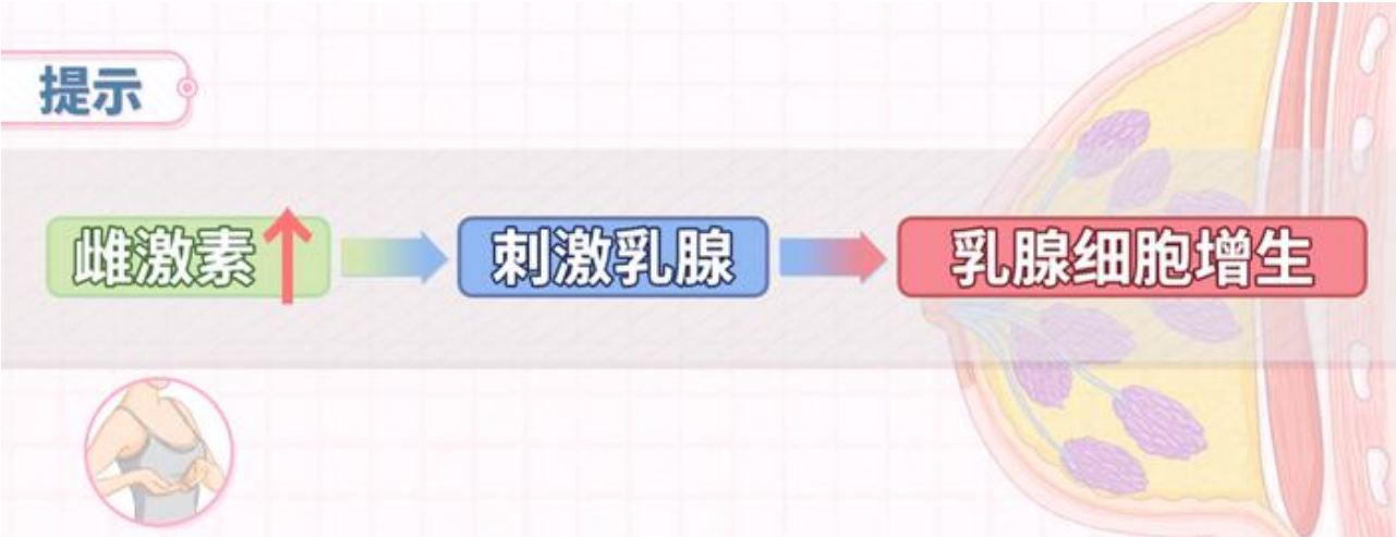 1-24042514534c01.png