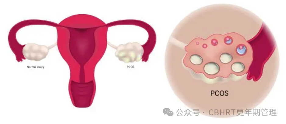 1-240R0143032I4.png
