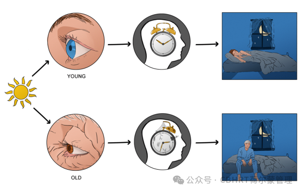 1-2501031F44TZ.png