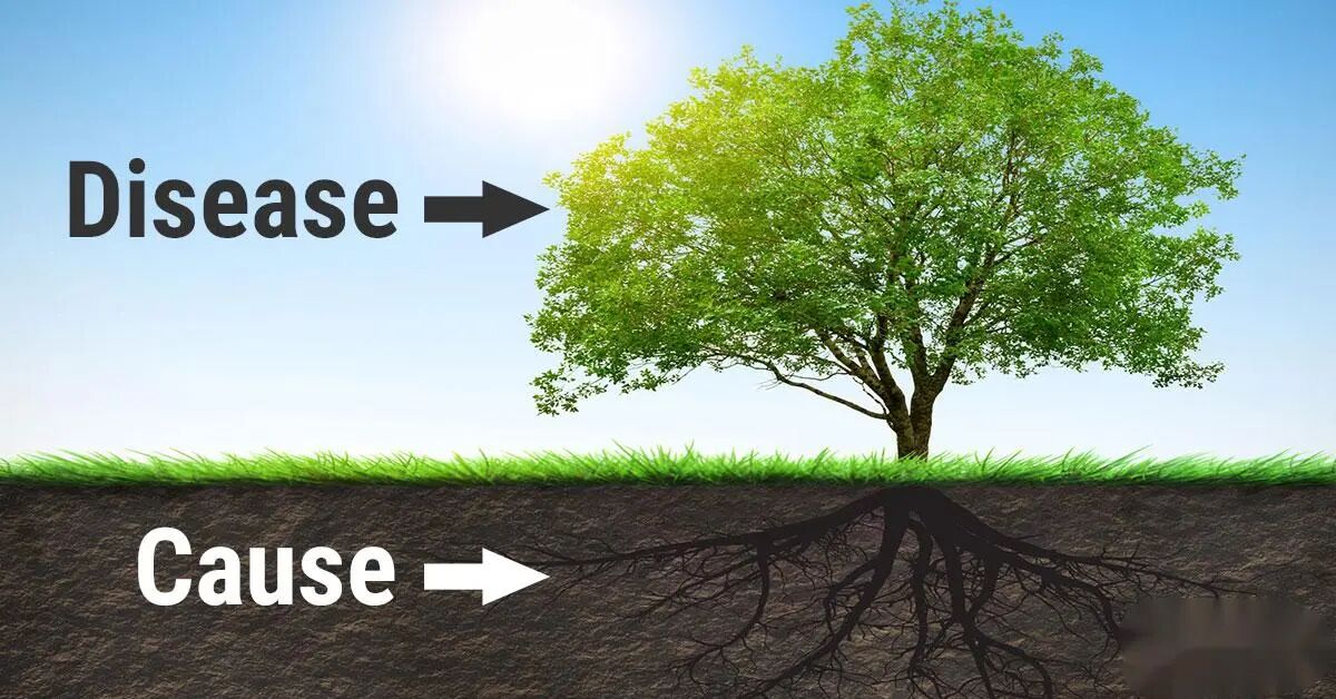 功能医学|慢性荨麻疹反复发作?因为它的诱因不只是过敏