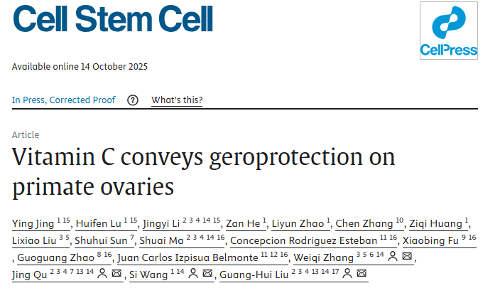 VC新作用:延缓卵巢衰老,推迟更年期