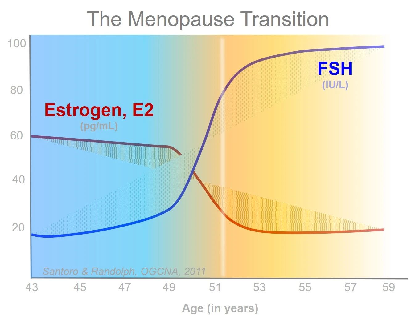 40+月经乱/总潮热？两个荷尔蒙指标看懂卵巢真实状态